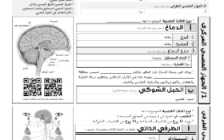 ورقة عمل تنظيم الجهاز العصبي مع الحل مقرر أحياء 2 أ. فيصل الجمعان