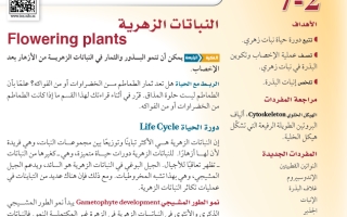 حل درس النباتات الزهرية أحياء 2-1 ثاني ثانوي مسارات
