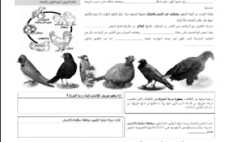 ورقة عمل مقدمة في الطيور مع الحل مقرر أحياء 2 أ. فيصل الجمعان