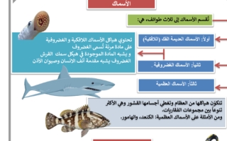ملخص درس ما الفقاريات (الأسماك) علوم رابع ابتدائي ف1