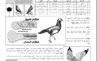 ورقة عمل الطيور مع الحل مقرر أحياء 2 أ. فيصل الجمعان
