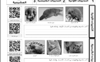 ورقة عمل تنوع الثدييات مع الحل مقرر أحياء 2 أ. فيصل الجمعان