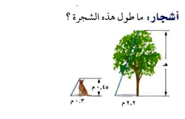 القياس غير المباشر رياضيات ثاني متوسط